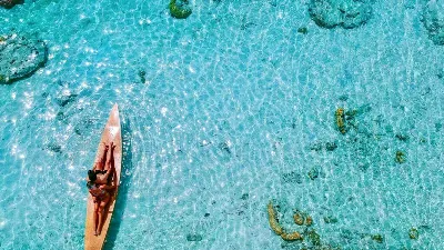 Ligula tristique quis risus