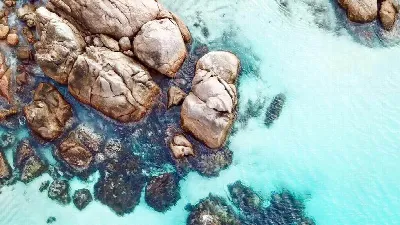 Ligula tristique quis risus